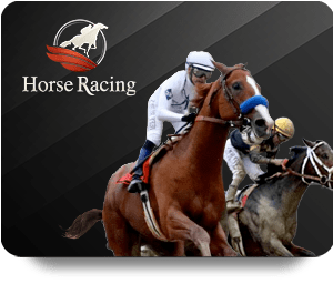 SHBET Casino Royal Mobile Experience: Play Anywhere, Anytime